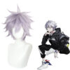 EVA-Kaworu Nagisa Cosplay Wigs, Anime Wigs