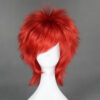 Katekyo Hitman Reborn - Kozato Enma Cosplay Wigs, Anime Wigs