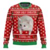 Your Ugly Sweater Makes Me... Christmas Ugly Sweater